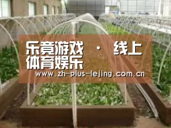 环境展示五