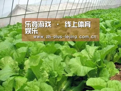 种植基地一