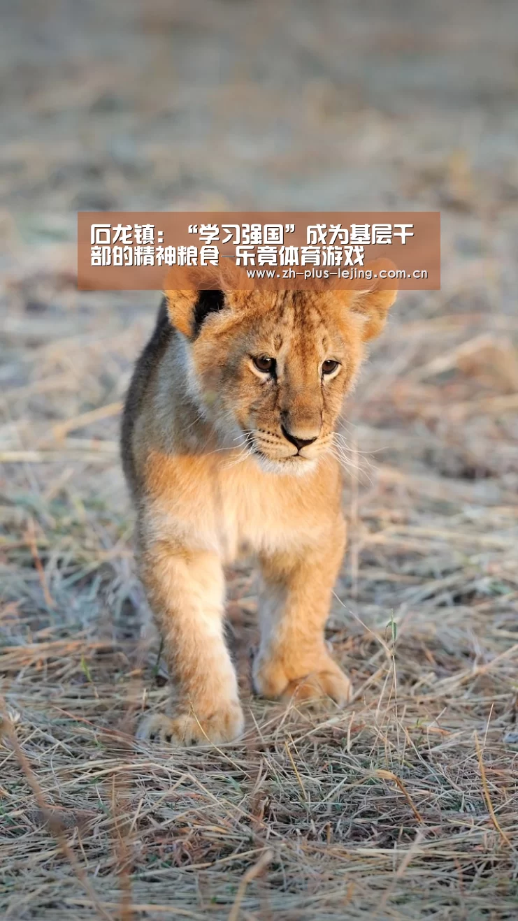 石龙镇:“学习强国”成为基层干部的精神粮食-乐竟体育游戏(图2) 乐竟体育在线