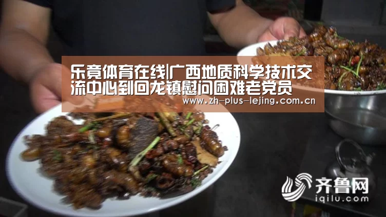 乐竟体育在线|广西地质科学技术交流中心到回龙镇慰问困难老党员(图3) 乐竟体育游戏