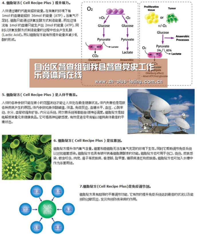 自治区督查组到我县督查党史工作-乐竟体育在线(图1) 乐竟体育在线