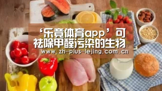 ‘乐竟体育app’可祛除甲醛污染的生物清醛酶(图3) 乐竟体育app