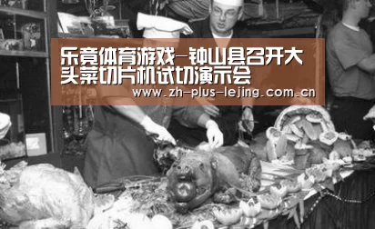 乐竟体育在线