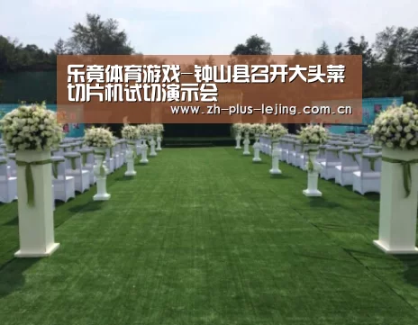 乐竟体育游戏