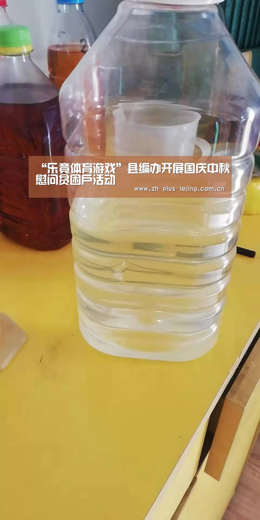 乐竟体育在线